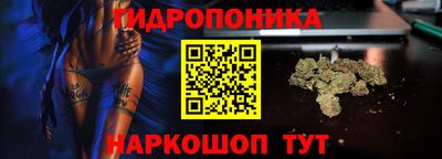 spice Краснодар