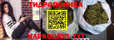 гидра Комсомольск-на-Амуре