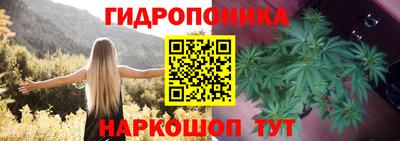 гидра Комсомольск-на-Амуре