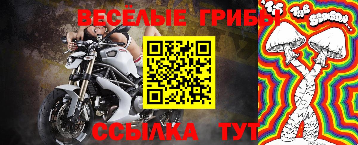 Кириши  Галлюциногенные грибы MAGIC MUSHROOMS  Галлюциногенные грибы Psilocybine cubensis  Вход с VPN 
